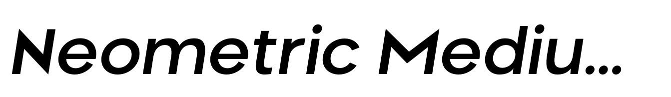 Neometric Medium Italic